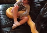 Pikkutyttö ja Python tv:n äärellä