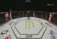Teemu Packalén vs Thibault Gouti (UFC Fight Night 84)