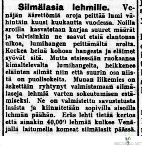Silmälaseja lumisokeille lehmille - Päivälehti 16.02.1900