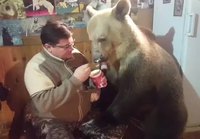Jäätelön syöntiä karhun kanssa