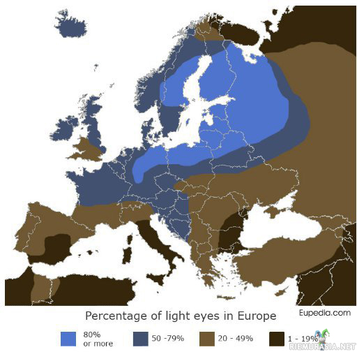 Vaaleat silmät - Vaaleasilmäisyys euroopassa. Vaaleisiin silmiin kuuluu sininen, harmaa ja vihreä.