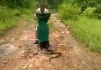 Käärmekuiskaaja