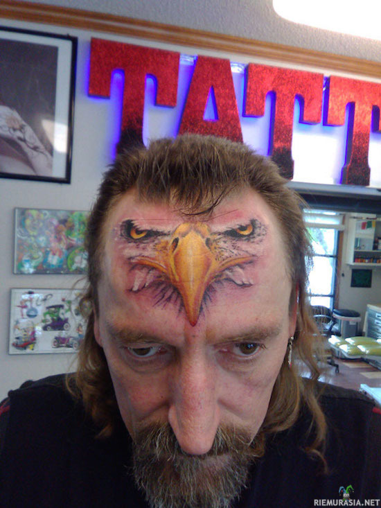 Look at my freedom - &quot;Tyylikäs&quot; glorified seagull tatuointi