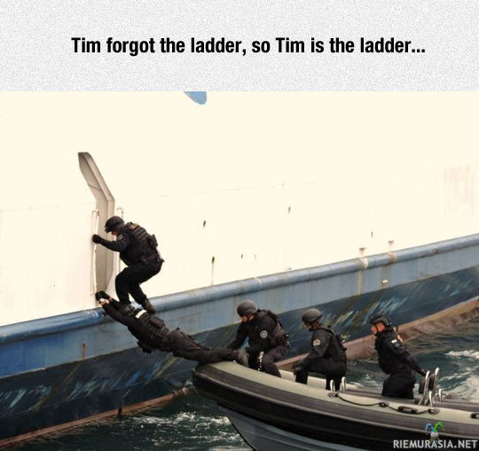 Tim on tikas