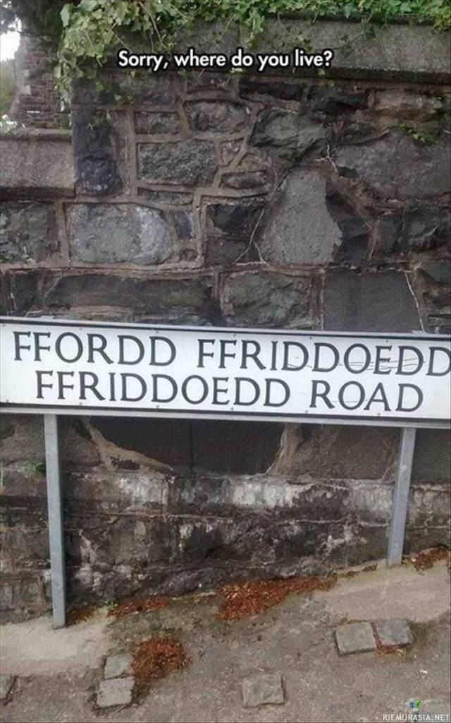Ffordd ffriddoedd ffriddoedd road