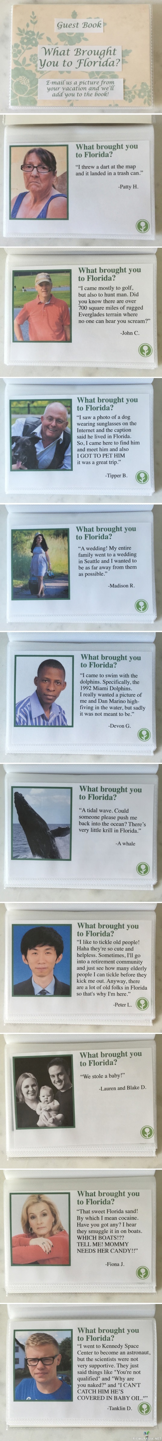 Miksi tulit Floridaan