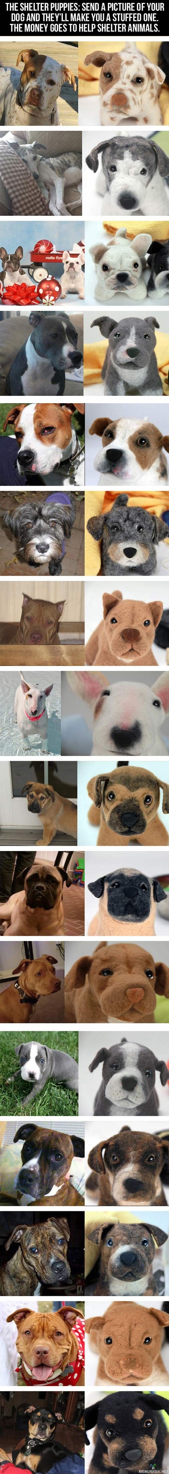 Muisto eläimestä - The Shelter puppies tekee lähetettyjen koirakuvien näköisiä pehmoleluja joista saadut tuotot käytetään huostaanotettujen eläinten hyväksi