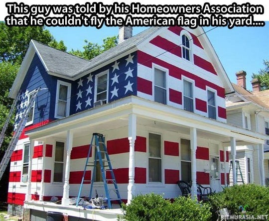 Isänmaallisuus - Lippu ei saa liehua, mutta talon maalauksesta ei ollut puhetta