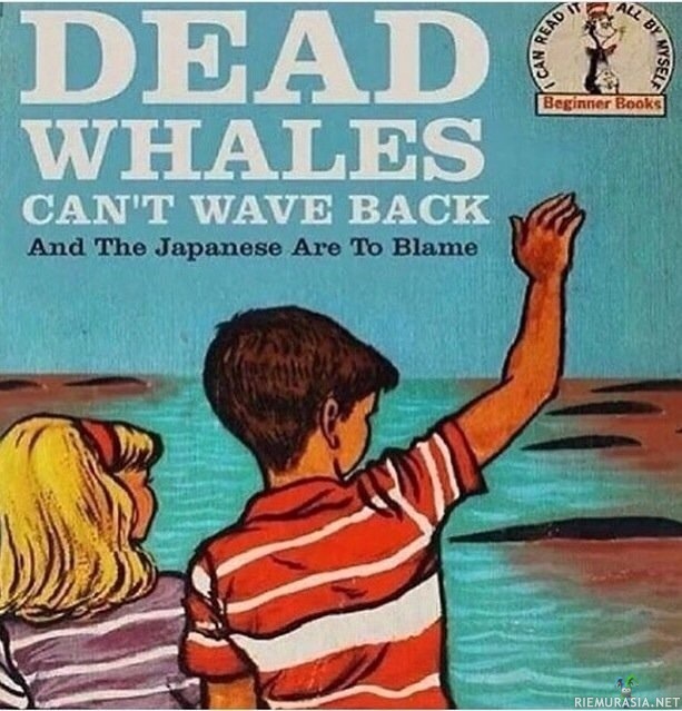 Kuolleet valaat - eivät vilkuta takaisin - ja se on japanilaisten syytä.