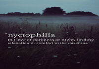 Nyctophilia