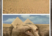 Egyptin palvotut kissat