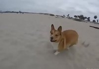 Töppöjalka uppoaa hiekkaan