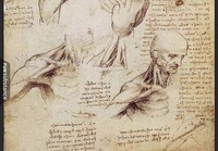 Alkuperäiset Leonardo da Vincin piirtämät anatomiakuvat
