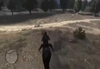 Hevonen hyppäs eteen