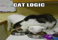 Kissa logiikka