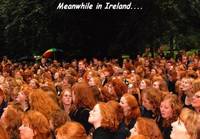 Irlannin punapäät