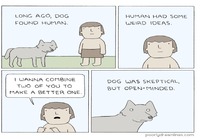Koiran historia