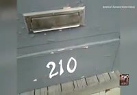 Postimiehen arki