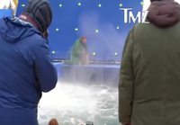 Koira pakotetaan veteen elokuvan kuvauksissa