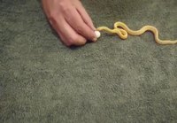 Nälkäinen käärme