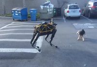 Koira ja robotti