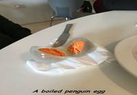 Keitetty pingviinin muna