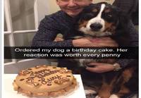 Koiralle kakku