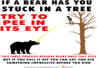 Jos karhu ajaa sinut puuhun