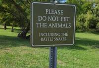 Älä paijaa eläimiä