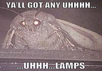 Olisiko teillä lamppuja?