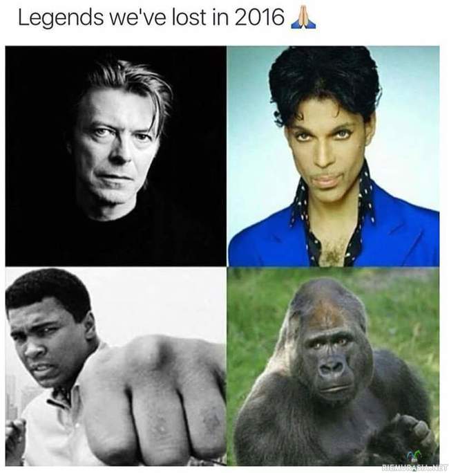 Legendat 2016