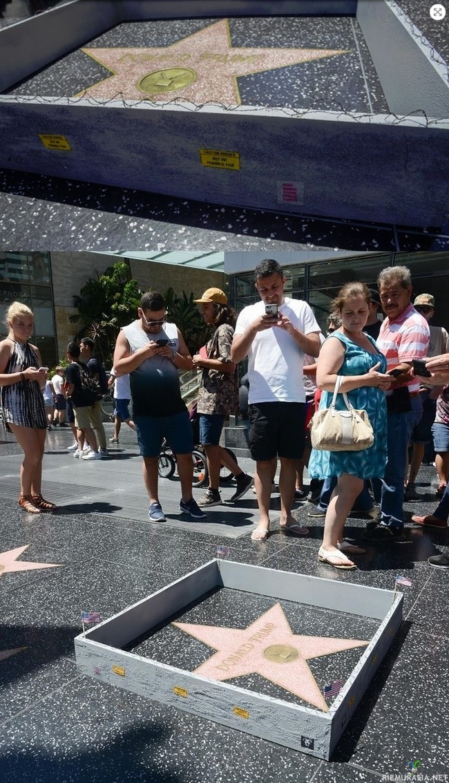 Walk of Fame Star - Trump
