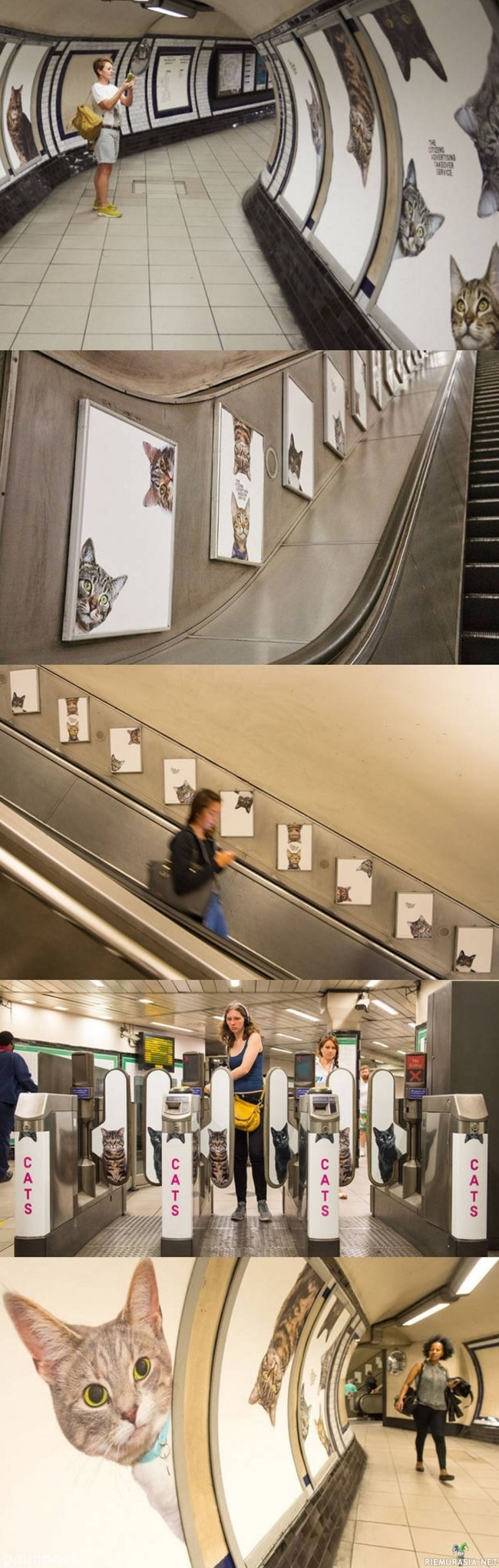 Kissametro - Lontoon metrossa kampanja nimeltä Citizens Advertising Takeover Service