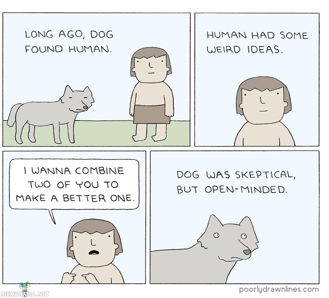 Koiran historia