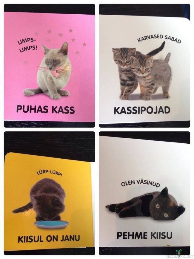 Virolaiset kissat
