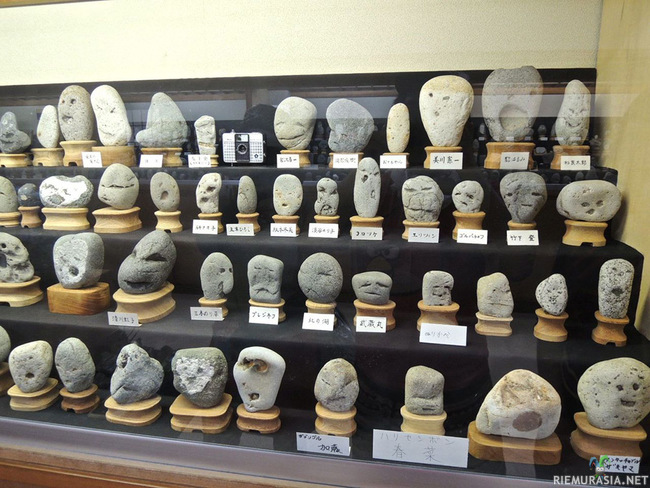Japanilainen kivimuseo - Esillä kaikki kivet missä on kasvoja muistuttavia piirteitä