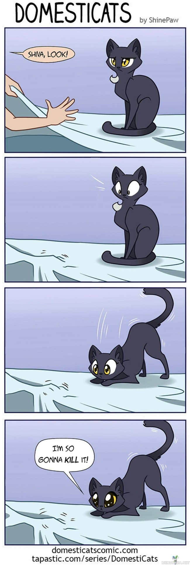 Kissan logiikka