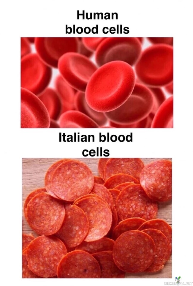 Italialaiset verisolut