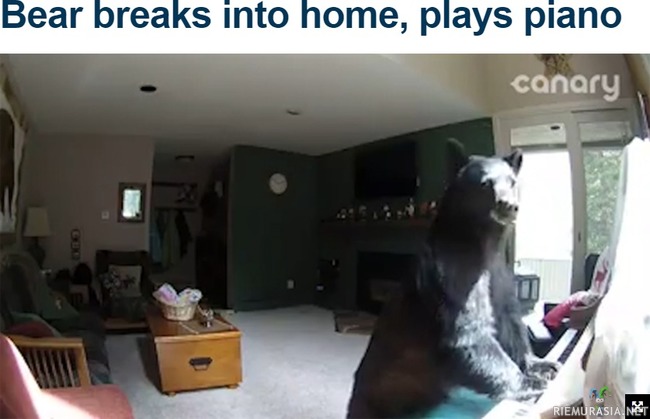 Karhu murtautui taloon