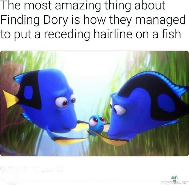 Kalan vetäytyvä hiusraja