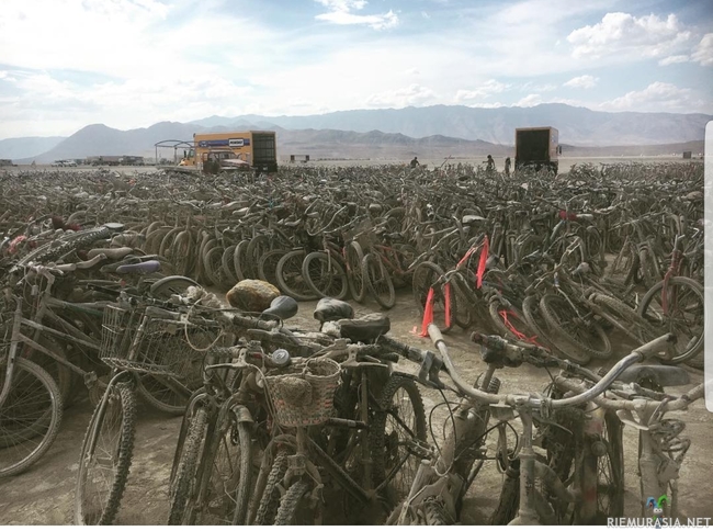 Hylätyt polkupyörät Burning Man -festivaalilta - Liekkö ollut niin väsy että pitänyt ottaa autokyyti takaisin kotiin. 
https://www.riemurasia.net/video/Kamera-putoaa-ilmasta-festareille/168383