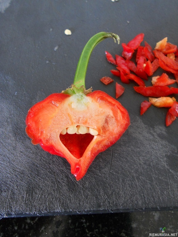 Iloinen paprika - Iloinen paprika