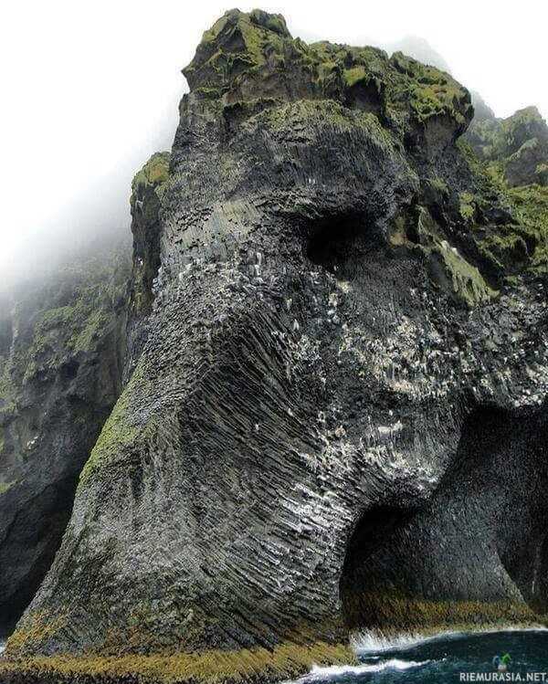 Elephant Cliff - Islannin Heimaey-saarella sijaitseva elefantilta näyttävä kallionkielleke.
