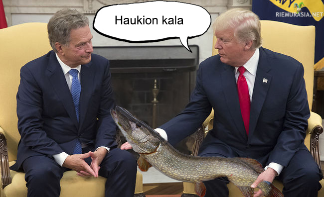 Kala - Osallistuu meemikisaan: https://www.riemurasia.net/kuva/Sauli-Niinisto-ja-Donald-Trump-meemikisa/208010