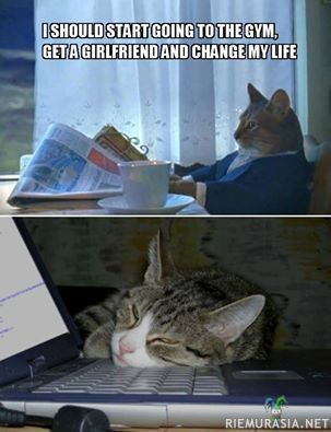 Kissen elämänmuutos - Elämäntapa hampuusi