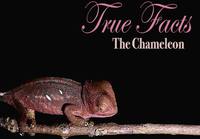 True Facts About the Chameleon