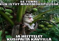 Kyllä minä niin mieleni pahoitin...