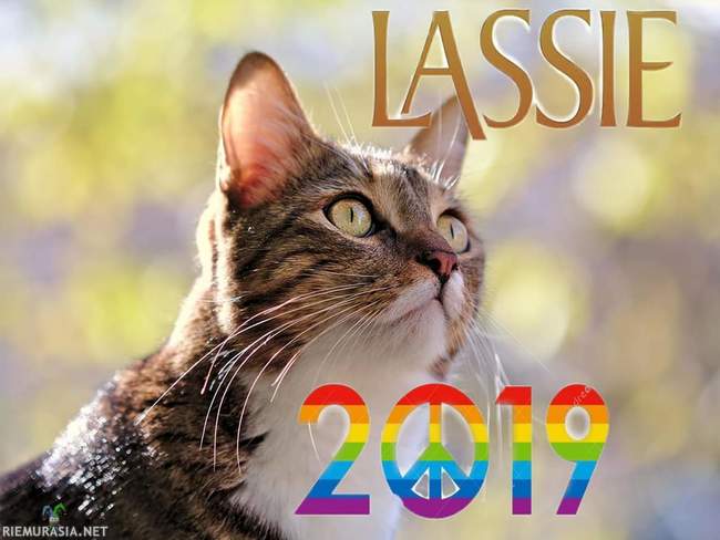 Lassie  - Ettei kissaihmisiä syrjittäisi