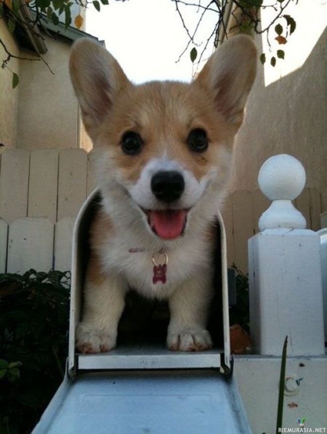 You got mail :)