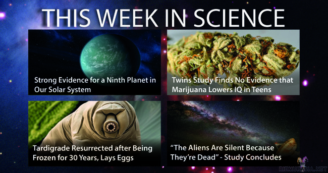 This week in science - Tällä viikolla tieteessä